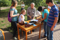 IMG_9587 copy