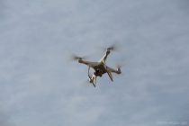 IMG_9644 copy
