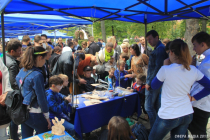 IMG_9896 copy