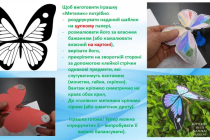Slide5