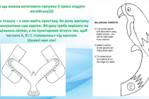 Slide7