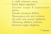 mk-danilova-nichnyi-peizazh (2)