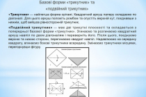 Slide5