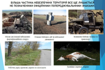 Slide27