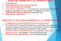 Slide29