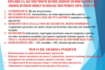 Slide30