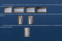 Slide7
