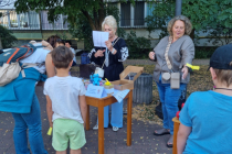 img-01