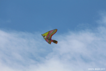 IMG_7577