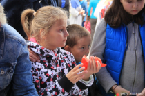 IMG_9908 copy