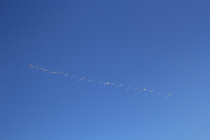 IMG_9769