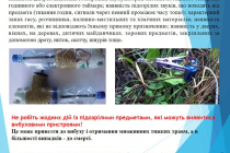 Slide24