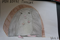 kozak-konk-robota (7)
