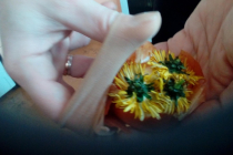 IMG-1b9804c9696335adb0980d2e179d9b3a-V